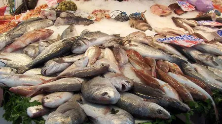 70% din comercianţii care vând peşte, găsiţi cu nereguli
