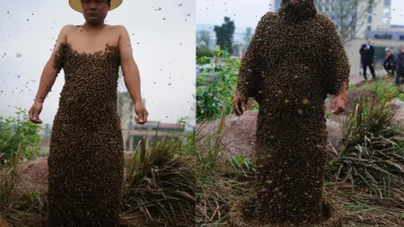 INCREDIBIL Un bărbat s-a acoperit cu 331.000 de albine pentru a doborî un record mondial