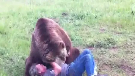 Momente de tandreţe între un urs iubăreţ şi părintele său adoptiv VIDEO