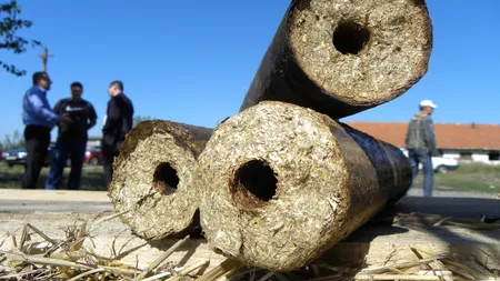 Utilizarea biomasei în România, premiată la Energy Globe Awards