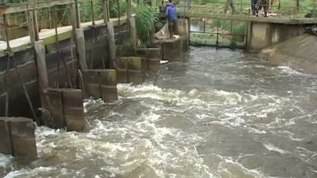 Spectacol pe râurile din Tulcea: Mii de peşti migrează în amonte VIDEO
