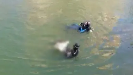 Un bărbat s-a înecat în râul Dâmboviţa din Capitală VIDEO