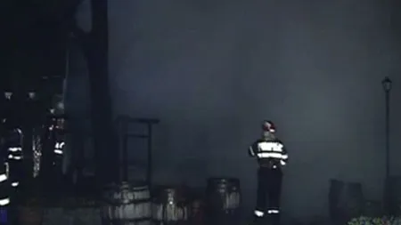 Incendiu în Parcul Mogoşoaia. Două căsuţe de agrement au ars din temelii VIDEO