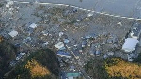 Resturile pagubelor materiale provocate de tsunami după cutremurul din Japonia au ajuns în Alaska