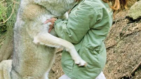 Tragedie la grădina zoologică. Tânără, SFÂŞIATĂ de lupii pe care i-a crescut