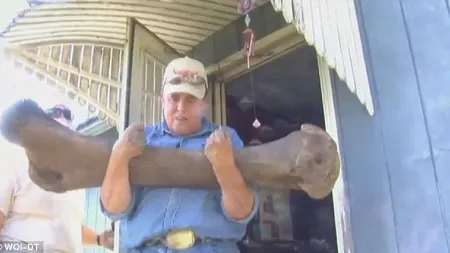 Un american a descoperit fosilele unui mamut lânos în grădina sa VIDEO
