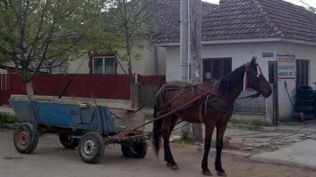 Bacău: Copil de 11 ani, cercetat pentru ucidere din culpă