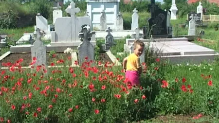 Îşi trăiesc copilăria printre morminte. O familie cu trei copii locuieşte în cimitir VIDEO