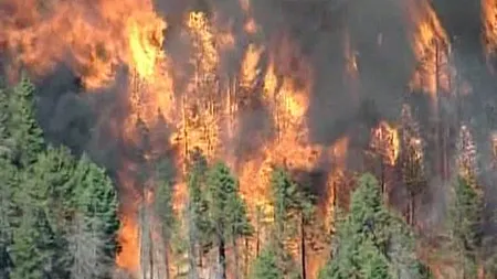 Incendiu violent de vegetaţie în Colorado. 80 de hectare de pădure, distruse VIDEO