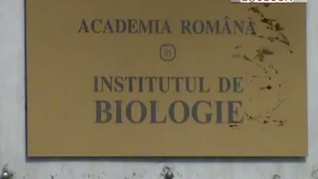 Institutul de Biologie şi Clubul Sportiv Rapid, păgubite după mai multe schimburi de terenuri VIDEO