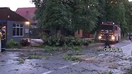 Furtuna a făcut prăpăd în Oradea şi Suceava. Mai multe case au fost distruse VIDEO