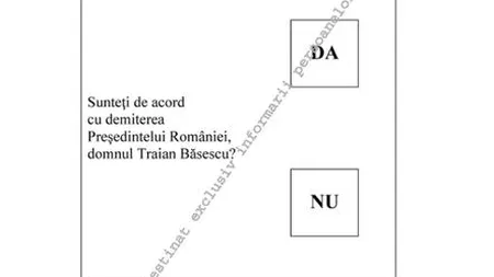 Guvernul a aprobat modelul buletinului de vot de la referendum