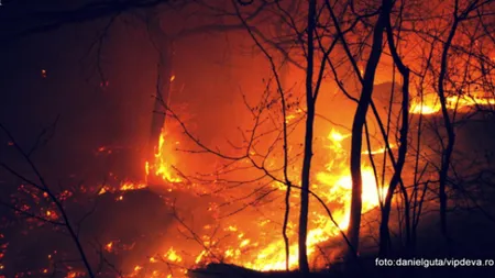 Incendiul de pe versantul din Braşov al Munţilor Făgăraş a fost stins