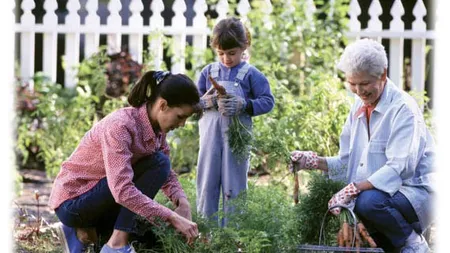 Activităţi prin care poţi să arzi 100 de calorii