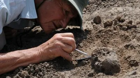 Homo erectus nu era singur: Alte două specii de hominizi au trăit în aceeaşi perioadă