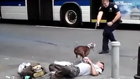 Un poliţist şi-a descărcat arma într-un pitbull în plină zi, pe stradă VIDEO