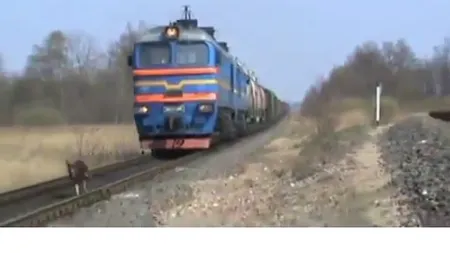 Un câine nebun: Îşi încearcă forţele cu un tren VIDEO