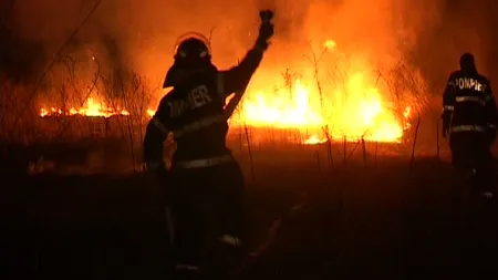 Incendiu puternic de vegetaţie, în Ialomiţa VIDEO