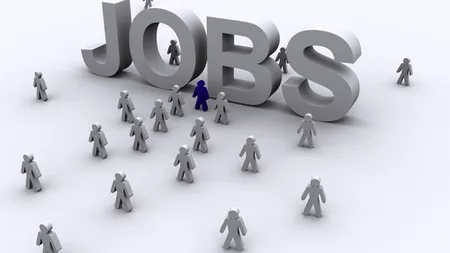 Peste 8.700 de locuri de muncă sunt disponibile în perioada 9-15 august