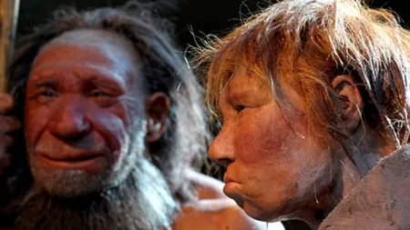 STUDIU: Oamenii de Neanderthal erau dreptaci şi înzestraţi probabil cu darul vorbirii