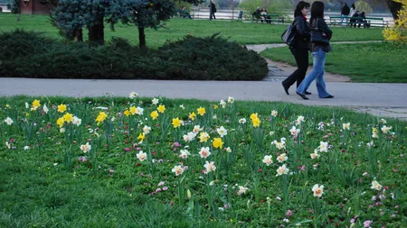 Zilele Bucureştiului: Tradiţionala bătaie cu flori are loc sâmbătă în Herăstrău