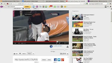 Faza anului în baseball. Cum se concentrează un jucător înainte de a prinde mingea VIDEO