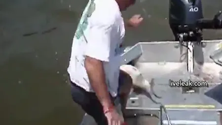 Pescarul doborât de peşte VIDEO
