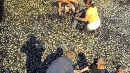 De necrezut. Locuitorii unei comune din Iaşi se bulucesc la peşte mort FOTO