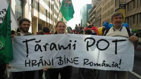 Fermierii AMENINŢĂ CU PROTESTE, nemulţumiţi de valoarea subvenţiilor pentru 2013