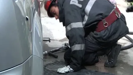 Un şarpe lung de un metru, blocat în caroseria unei maşini din Ploieşti VIDEO