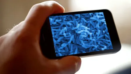 Telefoanele mobile te pot îmbolnăvi de gripă