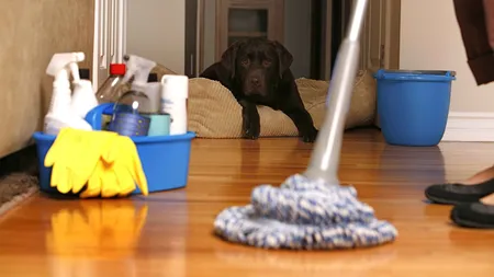 Cum să faci curăţenie acasă rapid şi fără bătăi de cap