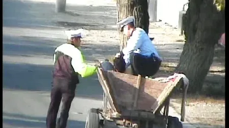 POLIŢIŞTI ÎN CĂRUŢE. Hoţii de la Grădina Zoologică din Slatina, prinşi într-un mod inedit VIDEO