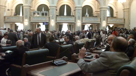 Senatorii PDL au PĂRĂSIT plenul în semn de protest faţă de comisia pentru anchetarea referendumului