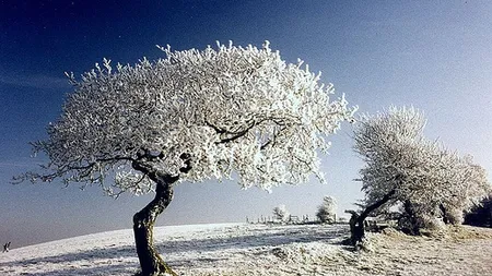 Cea mai scăzută temperatură din ţară, minus 8 grade Celsius, la Miercurea Ciuc