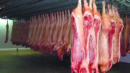 Peste 200 de kilograme de carne de la un porc cu trichineloză, confiscate în Sibiu
