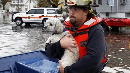 Dezastrul din urma uraganului Sandy: Americanii îşi caută disperaţi animalele de companie FOTO