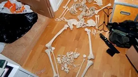 O suedeză a făcut sex cu un schelet şi a fost condamnată la 2 ani de închisoare