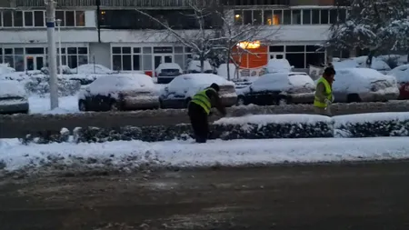 ŞTIREA TA: Angajaţii primăriei Craiova curăţă de zăpadă gardul viu, în loc de trotuare VIDEO