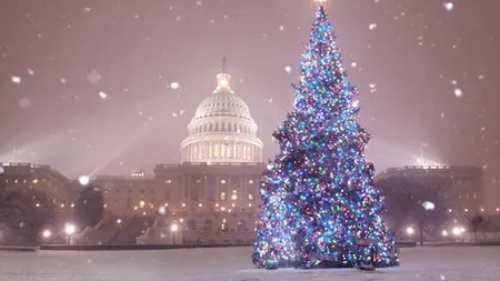 Americanii dau startul Sărbătorilor: În Bradul de Crăciun de pe Capitoliu s-au aprins luminile