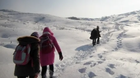 Şcolile din Brăila şi Botoşani, închise din cauza ninsorilor şi a viscolului