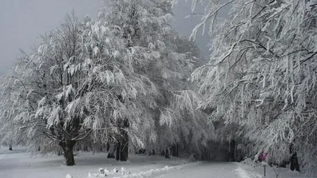Temperaturi de minus 24 de grade Celsius în România, în noaptea de vineri spre sâmbătă