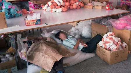 Povestea tristă a fabricilor de jucării: Muncitorii chinezi, obligaţi să doarmă printre păpuşi FOTO