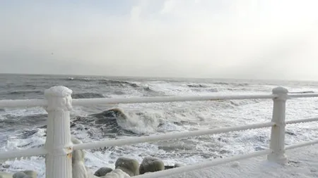 Porturile de la Marea Neagră sunt închise din cauza vântului puternic VIDEO