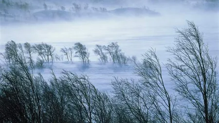 Avertizare meteo de vânt puternic pentru judeţele Caraş-Severin şi Sibiu