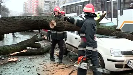Vântul a doborât copaci şi stâlpi în Bucureşti. Cel puţin şase maşini au fost avariate VIDEO