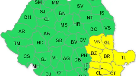 Sud-estul ţării, sub avertizare COD GALBEN de viscol şi ninsori