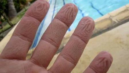 De ce ni se încreţesc degetele în apă. Oamenii de ştiinţă au găsit un răspuns