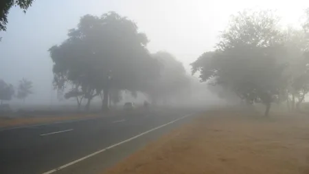 COD GALBEN de ceaţă în Moldova