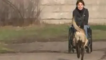 EMOŢIONANT: Un câine a fost dresat să ajute o tânără blocată într-un scaun cu rotile VIDEO